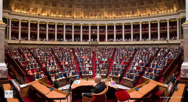 En Marche! devrait être largement représenté à l'Assemblée nationale