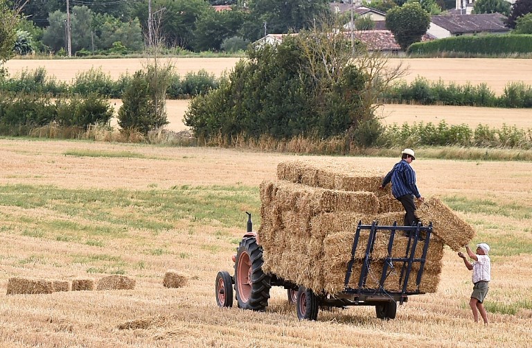 Illustration agriculture (©REMY GABALDA - AFP)