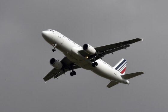 Avion Air France (©PASCAL PAVANI - AFP)
