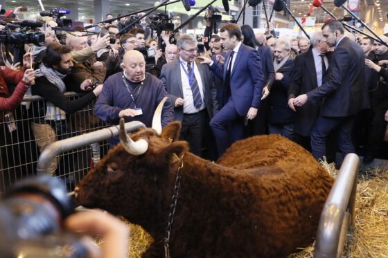 Emmanuel Macron au Salon de l'Agriculture en 2017 (THOMAS SAMSON - AFP)