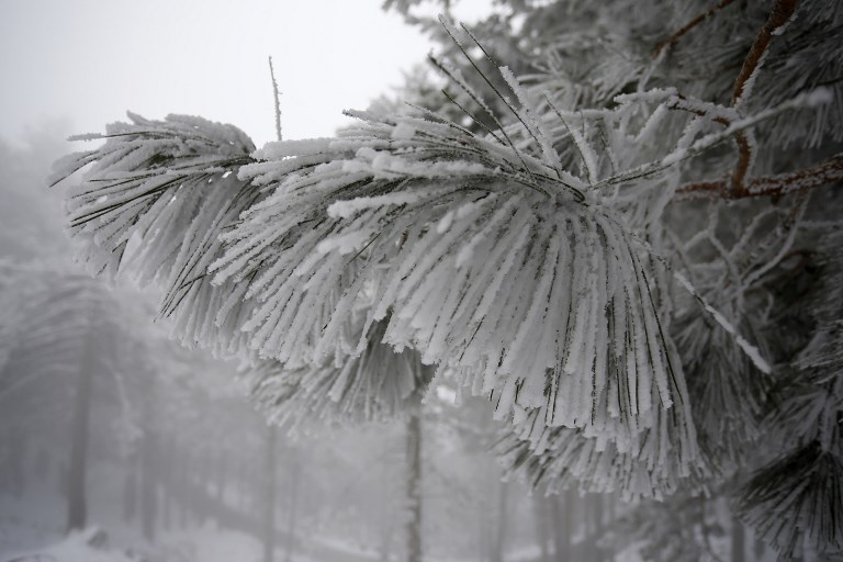 maire Cerdon neige