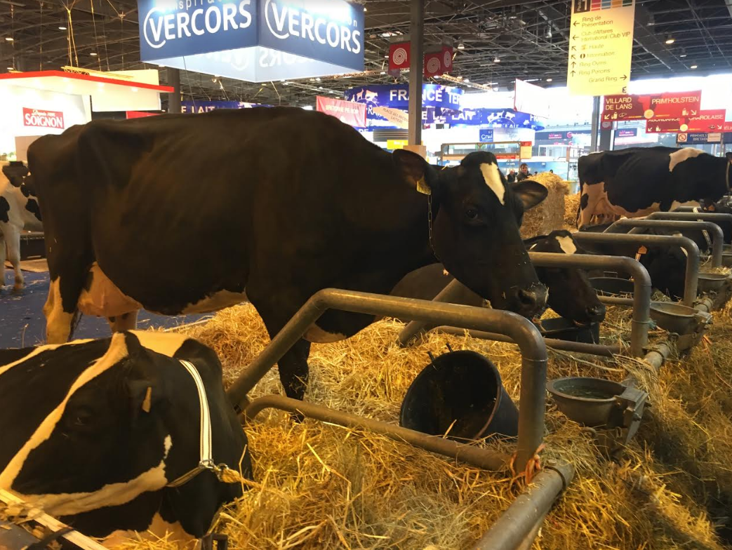 Salon De L Agriculture Une Fierte De Representer Son