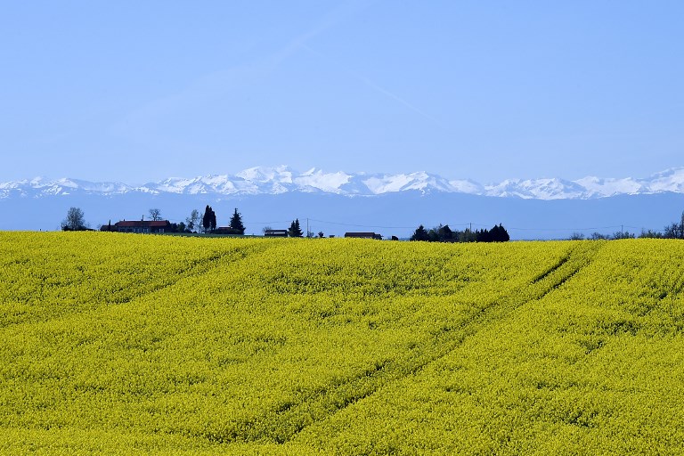 photos campagne