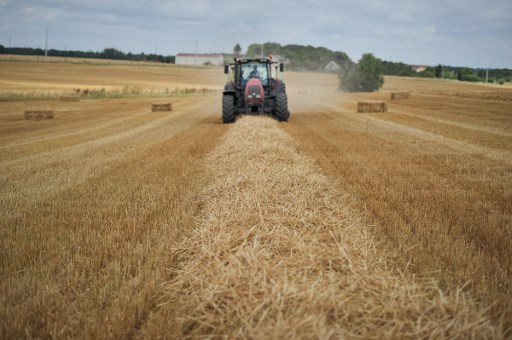 agriculteurs