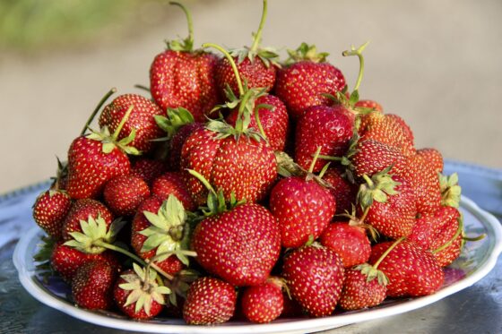 fraises