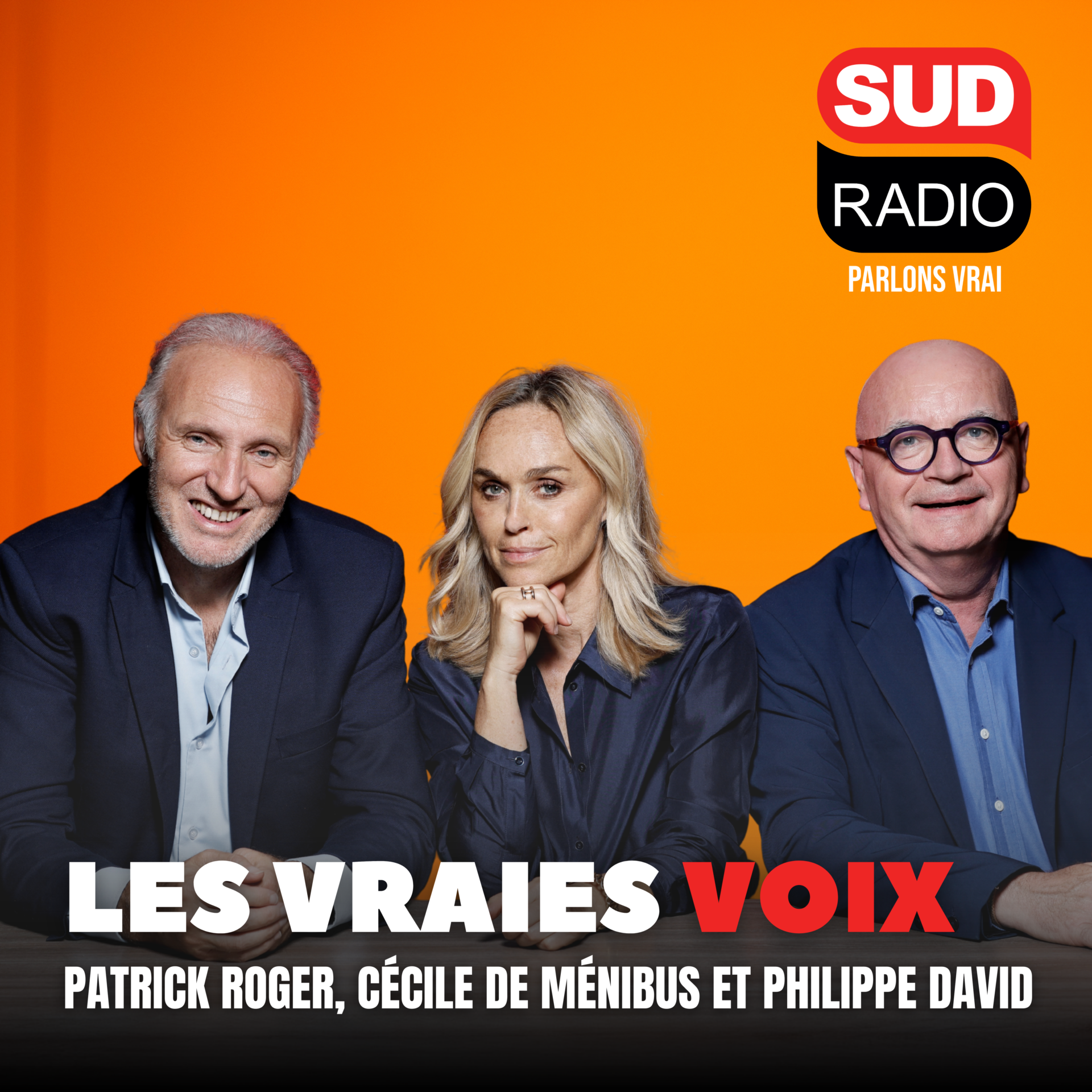 Les Vraies Voix - Faut-il interdire l'accès aux forêts en période de fortes chaleurs ? / Affaire Jubillar : un nouveau fiasco judiciaire ? episode artwork