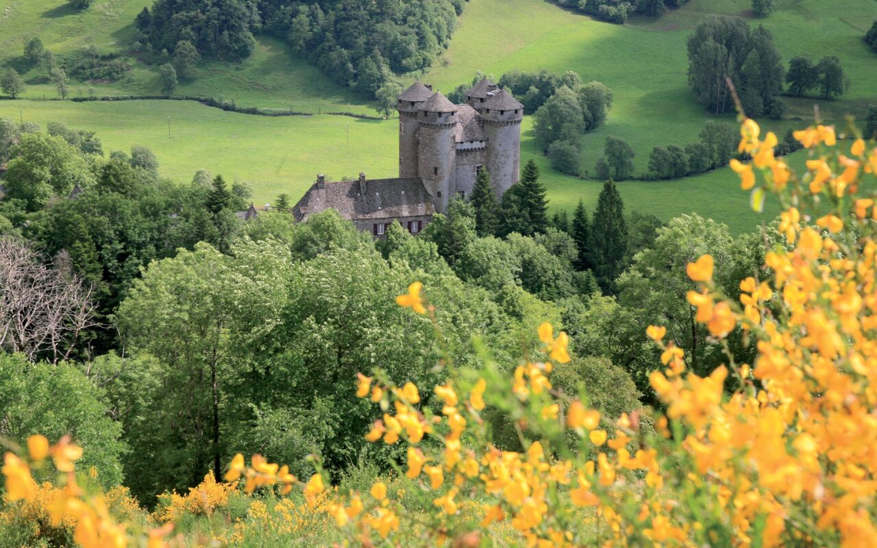 Découverte tourisme du Petit Futé