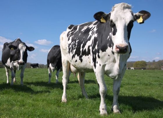 agriculteurs