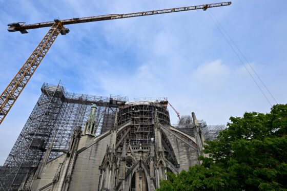 cathédrale notre-dame chantier