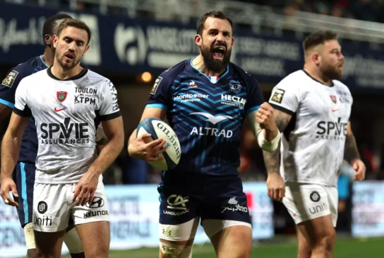toulon montpellier, rugby, top 14