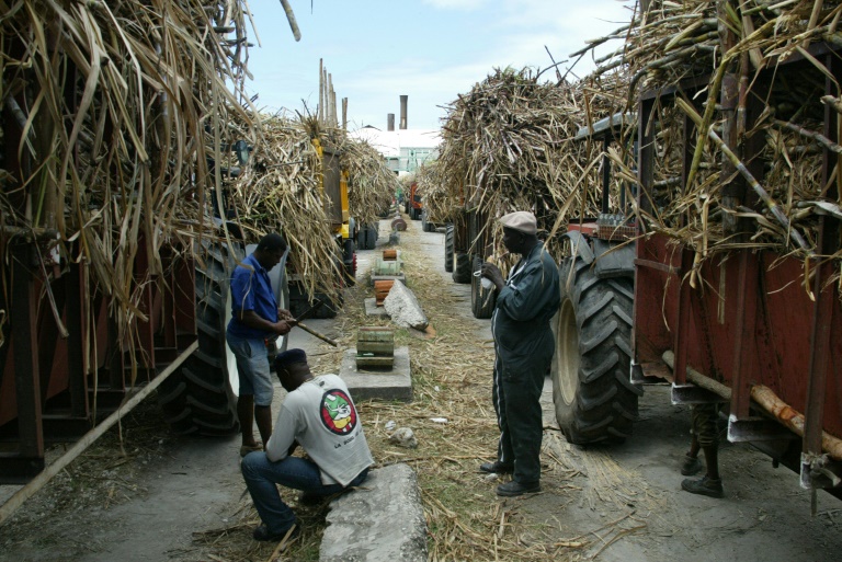 Des remorques pleines de canne à sucre devant la sucrerie de Grand-Anse à Grand Bourg sur l'île de Marie-Galante en Guadeloupe, le 12 Avril 2007