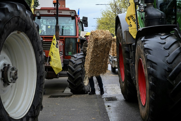 Manifestation d'agriculteurs à Dijon, le 29 mars 2024