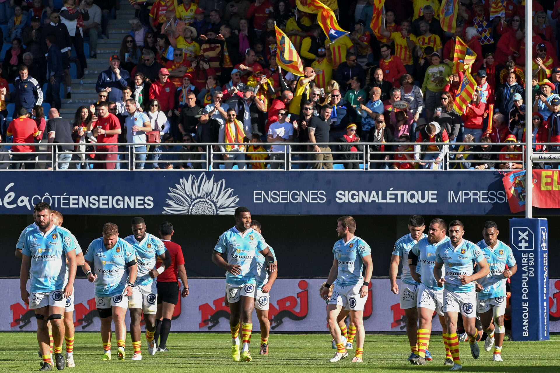 Perpignan, perpignan, usap, USAP, top 14, rugby, phases finales, franck azéma,