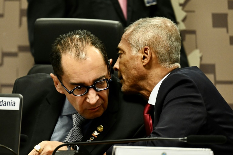 Romario de Souza (à droite), président et rapporteur de la comission sénatoriale lors de l'audition de John Textor à Brasilia, le 22 avril 2024