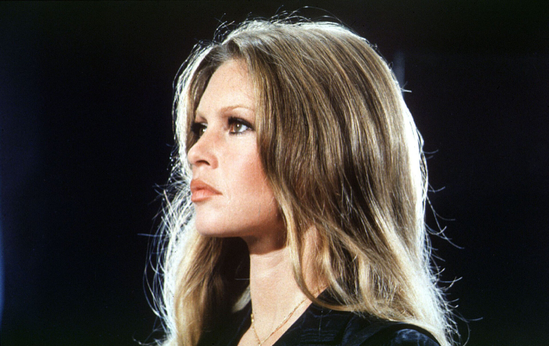 Brigitte Bardot
