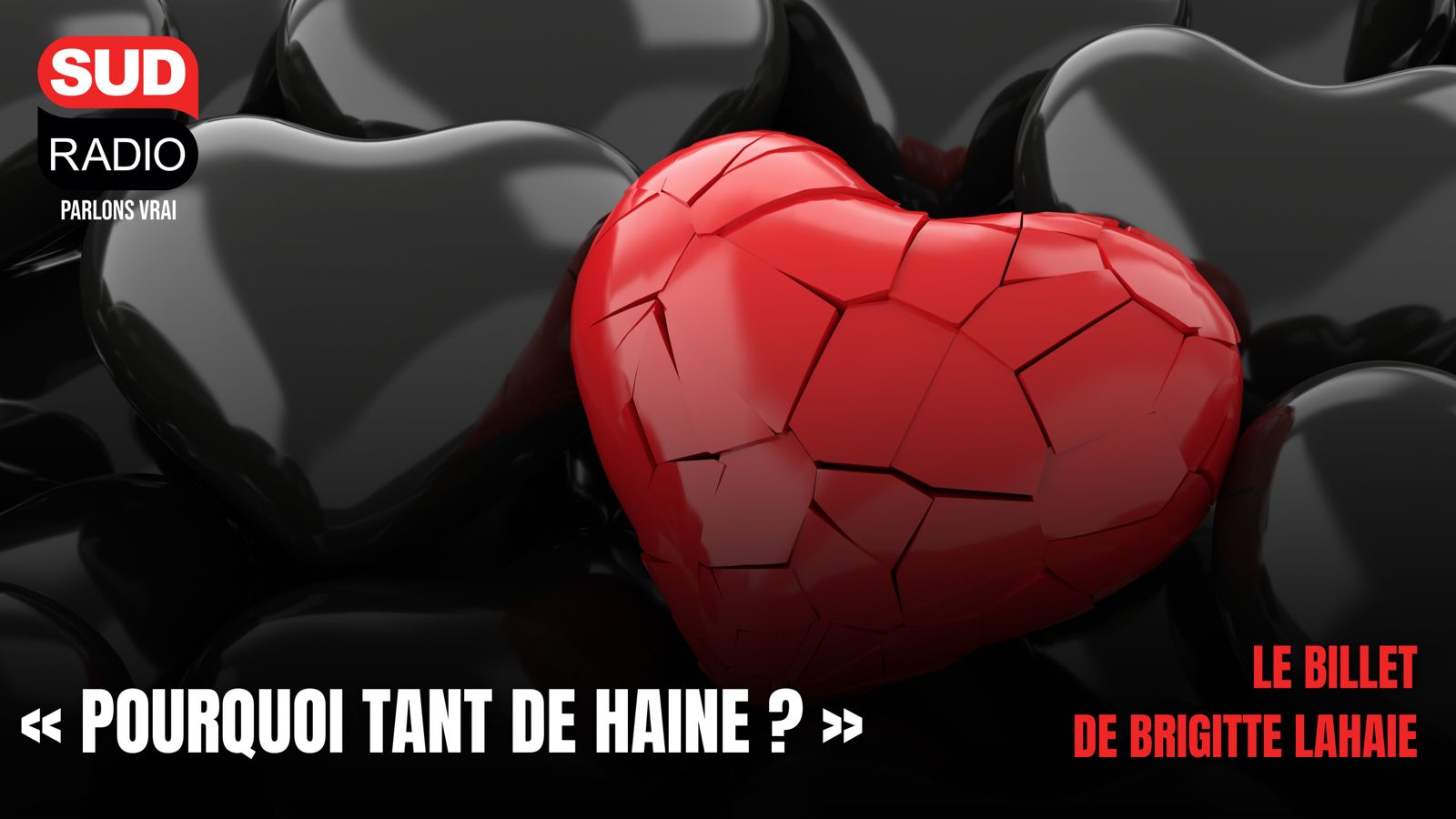 Pourquoi tant de haine ? Par Brigitte Lahaie