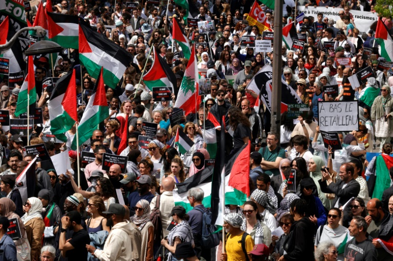 Des drapeaux palestiniens lors d'une manifestation contre l'islamophobie, le 11 mai 2025 à Paris