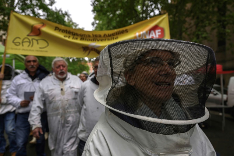 Manifestation d'apiculteurs contre les pesticides à Toulouse, le 27 avril 2025
