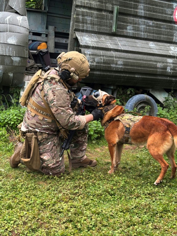 Le sergent-chef Dorian, du commando parachutiste de l'Air 20 (CPA 20), met un masque de protection à Peyo, un berger belge malinois, avant une démonstration de recherche d'explosifs à la base aérienne de Vélizy-Villacoublay, le 28 mai 2025 dans les Yvelines