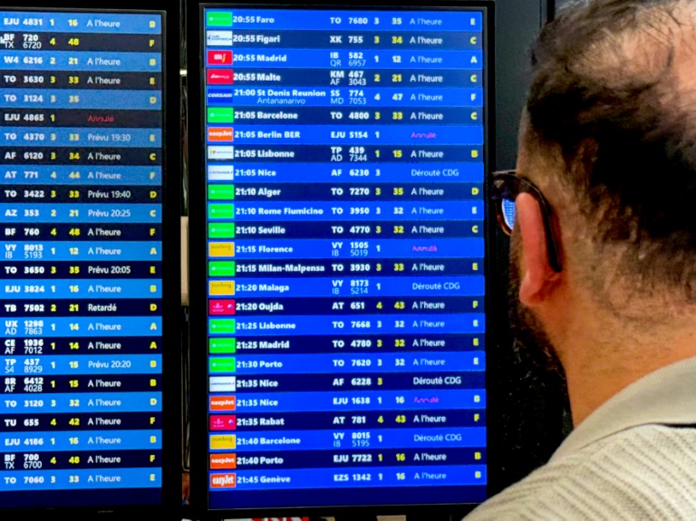 Un voyageur regarde des panneaux d'informatino sur les vols lors d'une panne des systèmes de contrôle aérien à l'aéroport de Paris-Orly, au sud de Paris, le 18 mai 2025