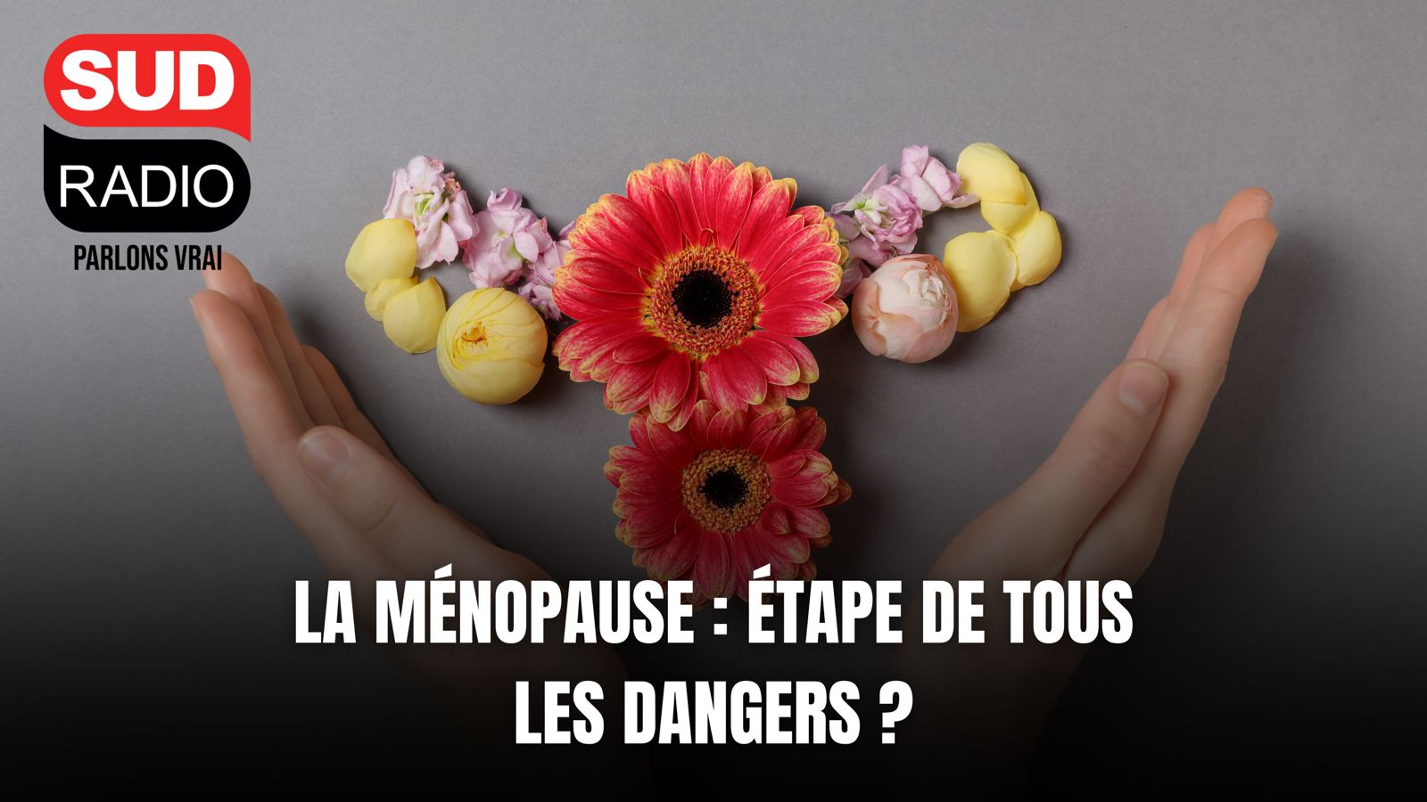 La ménopause : étape de tous les dangers ?