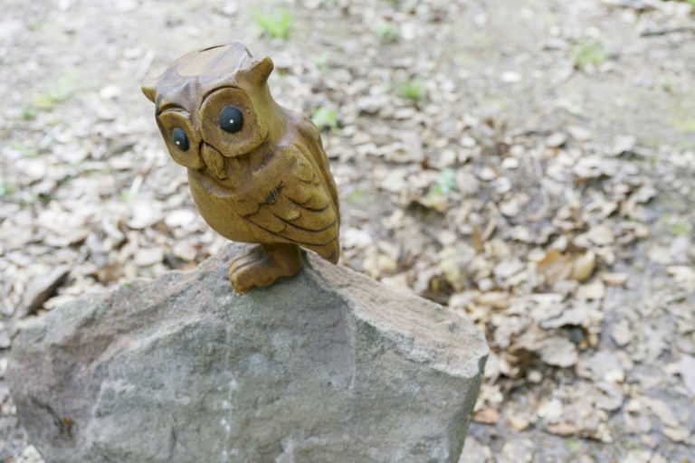 Une chouette en bois déposée par un chouetteur sur la pierre sous laquelle a été retrouvée la Chouette d'or, à Dabo, en Moselle, le 3 mai 2025
