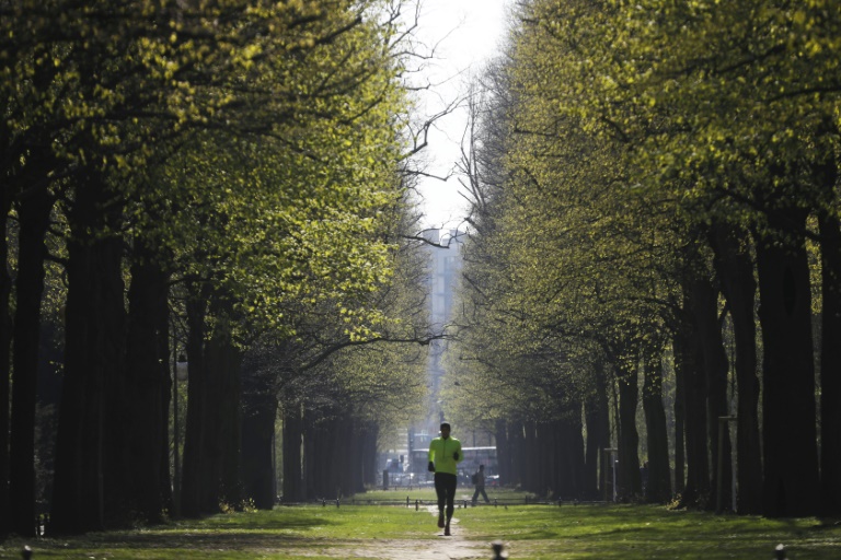 Une personne court dans le parc de Tiergarten à Berlin le 16 avril 2019.