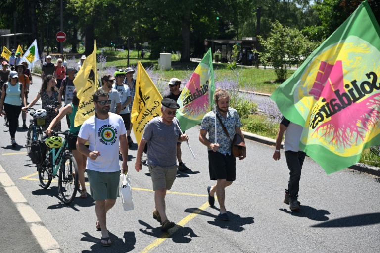 Manifestation contre la loi Duplomb à Pau, dans les Pyrénées-Atlantiques, le 28 juin 2025
