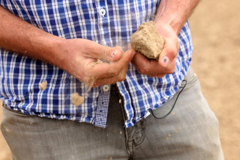 Un maraîcher effrite un morceau de terre sèche prélevé dans un champ qu'il doit irriguer pour faire pousser ses légumes, à Carnin (Nord), le 20 mai 2025