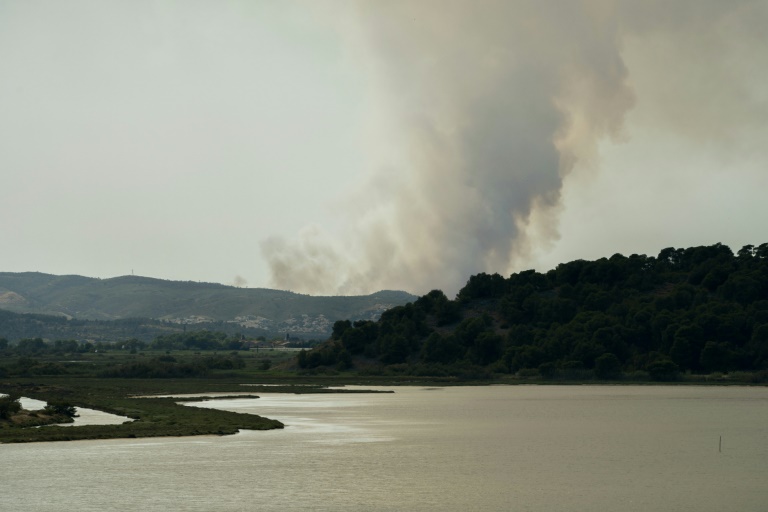 De la fumée visible sur le massif des Corbières lors d'un incendie, le 29 juin 2025, à Bizanet, dans l'Aude