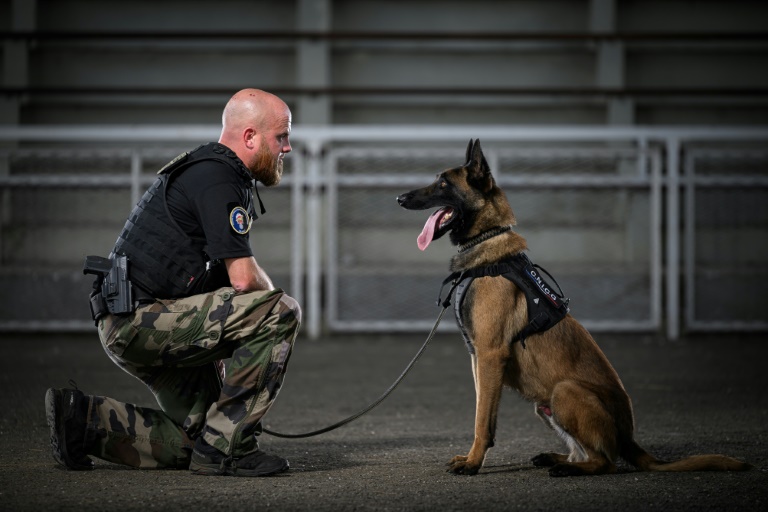 L'adjudant-chef David Rodriguez et son chien policier Snatch au entraînement au Centre National d'Instruction Cynophile de la Gendarmerie (CNICG) à Gramat, le 14 mai 2025 dans le Lot