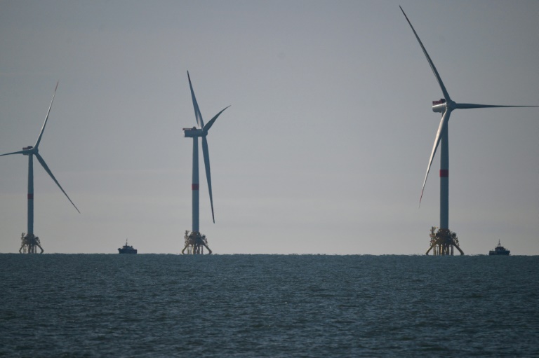 Des éoliennes au large de Port-de-Bouc, le 7 décembre 2023 dans les Bouches-du-Rhône