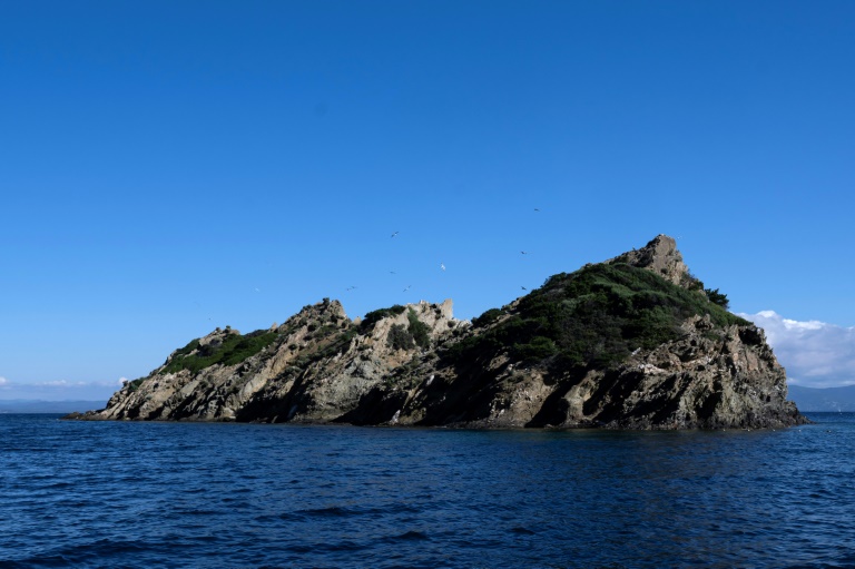 Le rocher de Rascas de l'île de Port-Cros, dans le Parc national d'Hyères, le 8 mai 2025 dans le Var