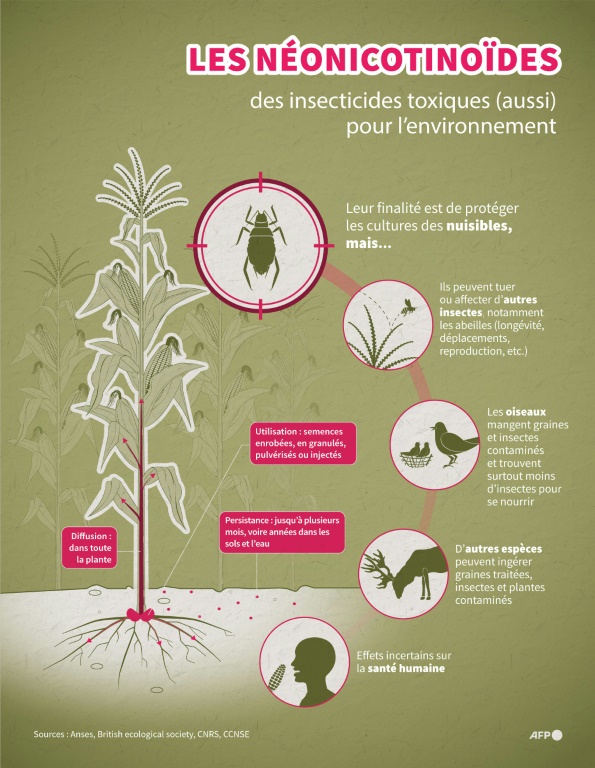 Les néonicotinoïdes, des insecticides toxiques (aussi) pour l'environnement