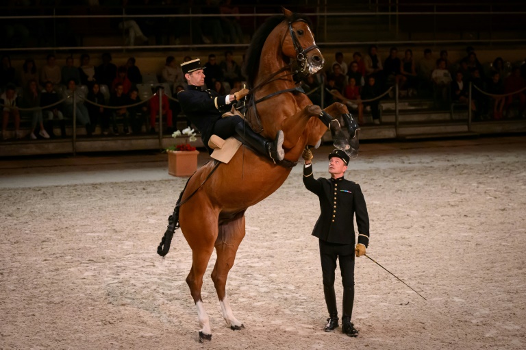 Des écuyers du Cadre Noir de Saumur lors d'un spectacle matinal, le 5 juin 2025 dans le Maine-et-Loire