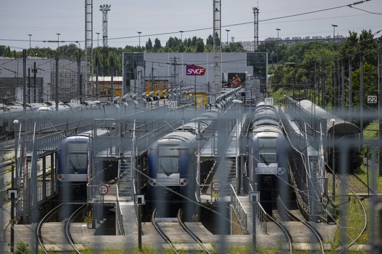 Des trains stationnés près de la gare de Mont-de-Terre, à Lille, le 25 juin 2025 dans le Nord