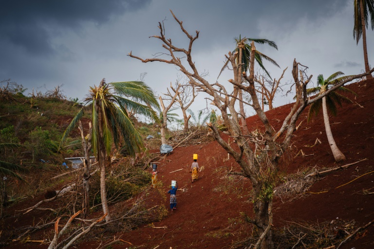 Des femmes passent dans une forêt dévastée par le cyclone Chido pour ramener de l'eau au village de Bouyouni, à Mayotte, le 19 décembre 2024