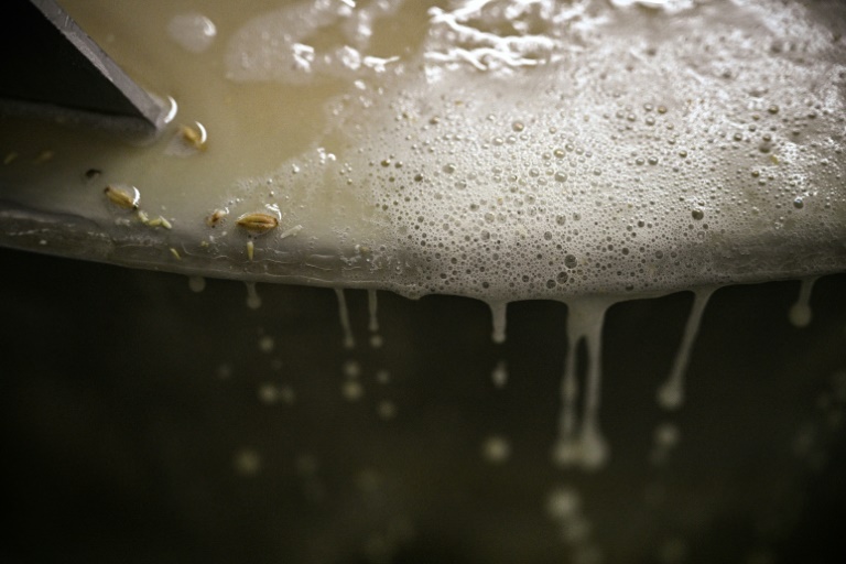 De l'écume se forme à la surface d'une cuve dans la Brasserie Croix de Chavaux, le 20 juin 2025 à Montreuil, en Seine-Saint-Denis