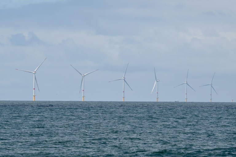 Le parc éolien de Yeu-Noirmoutier, en Vendée, le 23 juin 2025