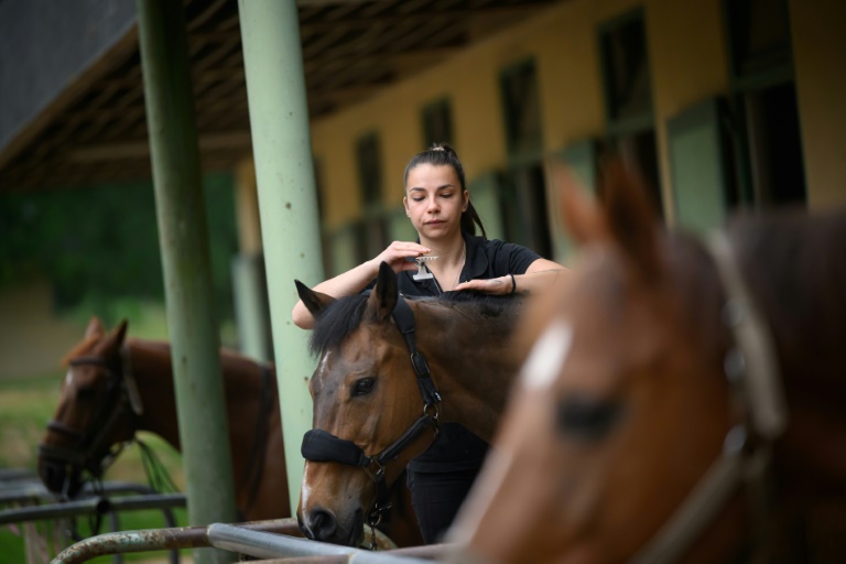 Une palfrenière prépare un cheval pour un écuyer du Cadre Noir de Saumur avant un spectacle matinal, le 5 juin 2025 dans le Maine-et-Loire