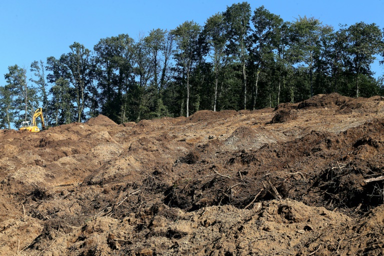 Des fouilles sont menées pour tenter de retrouver le corps d'Estelle Mouzin, le 3 septembre 2021, dans une forêt près d'Issancourt-et-Rumel, dans les Ardennes