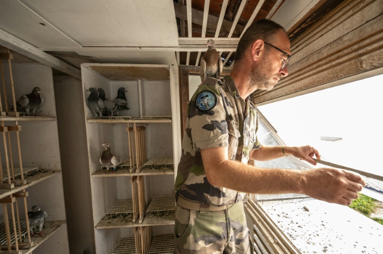 Le maréchal des logis Sylvain du 8e régiment de transmissions de l'armée française dans le dernier colombier militaire d'Europe, au Mont-Valérien, à Suresne, près de Paris, le 1er juillet 2025