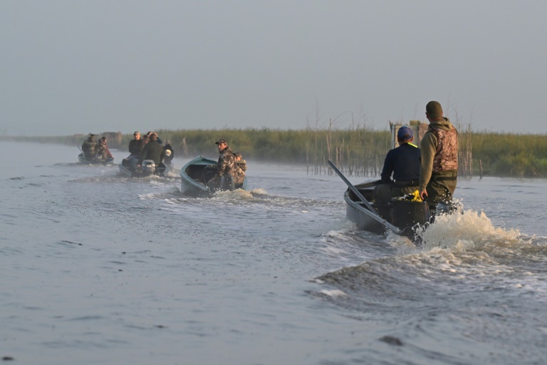 Des chasseurs patrouillent dans le marais de Brière à la recherche d'oiseaux victimes de l'épizootie de botulisme aviaire qui touche plusieurs zones humides de Loire-Atlantique, le 26 juillet 2025 près de Trignac