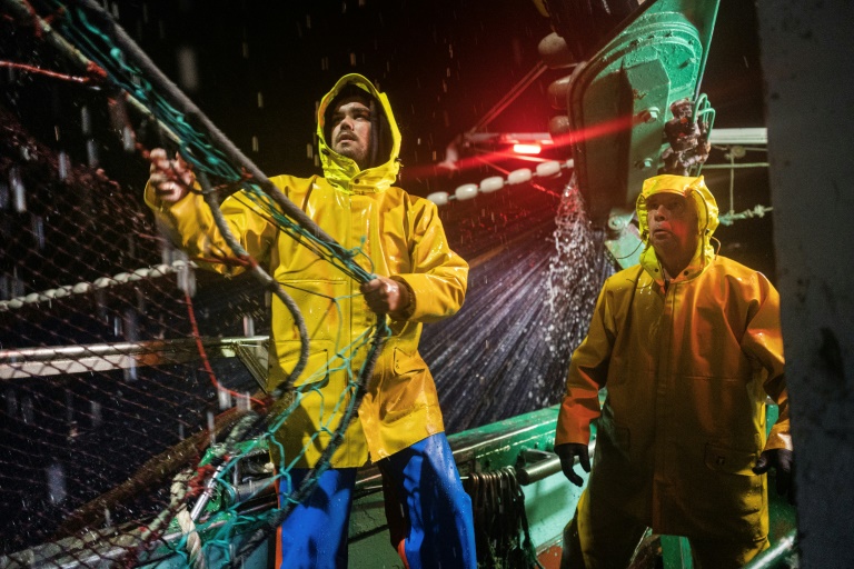 Les marins Titouan Preunel (g) et Dominique Palut à bord du bateau de pêche Stereden Ar Moor remontent un filet rempli de sardines au large du Conquet, le 18 juillet 2025 dans le Finistère