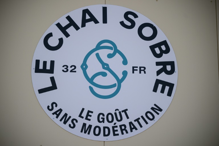 Logo du Chai sobre, spécialisé dans la désalcoolisation du vin, le 25 juin 2025 à Vic-Fezensac, dans le Gers
