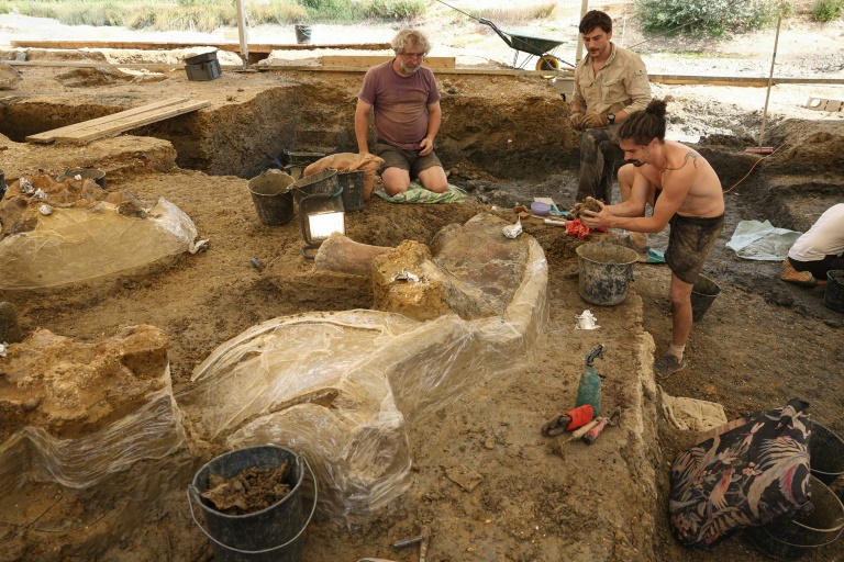 Extraction d'ossements fossilisés de dinosaures sur un site de fouilles à Angeac-sur-Charente, le 19 juillet 2025 en Charente