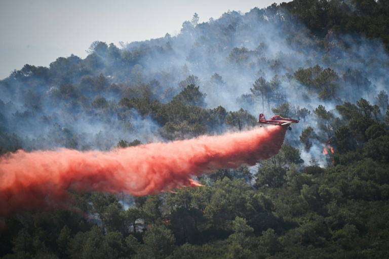 Un feu de forêt près de Narbonne, le 8 juillet 2025