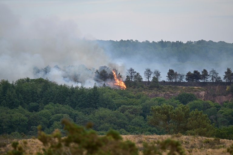 Un incendie dans la forêt de Brocéliande, le 17 juillet 2025 à Tréhorenteuc, dans le Morbihan