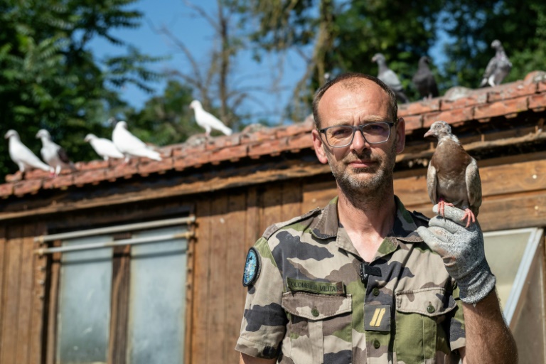 Le maréchal des logis Sylvain du 8e régiment de transmissions de l'armée française, tient un pigeon devant le colombier militaire du Mont-Valérien à Suresne, près de Paris, le 1er juillet 2025