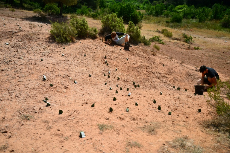 Des personnes cherchent des œufs de dinosaures sur le site de la montagne Sainte-Victoire, près d'Aix-en-Provence, le 25 juin 2025 dans les Bouches-du-Rhône